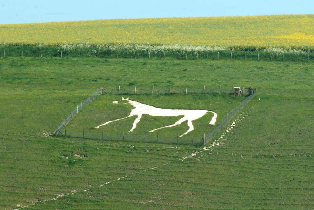 54094 Pewsey Hill White Horse, Dorset