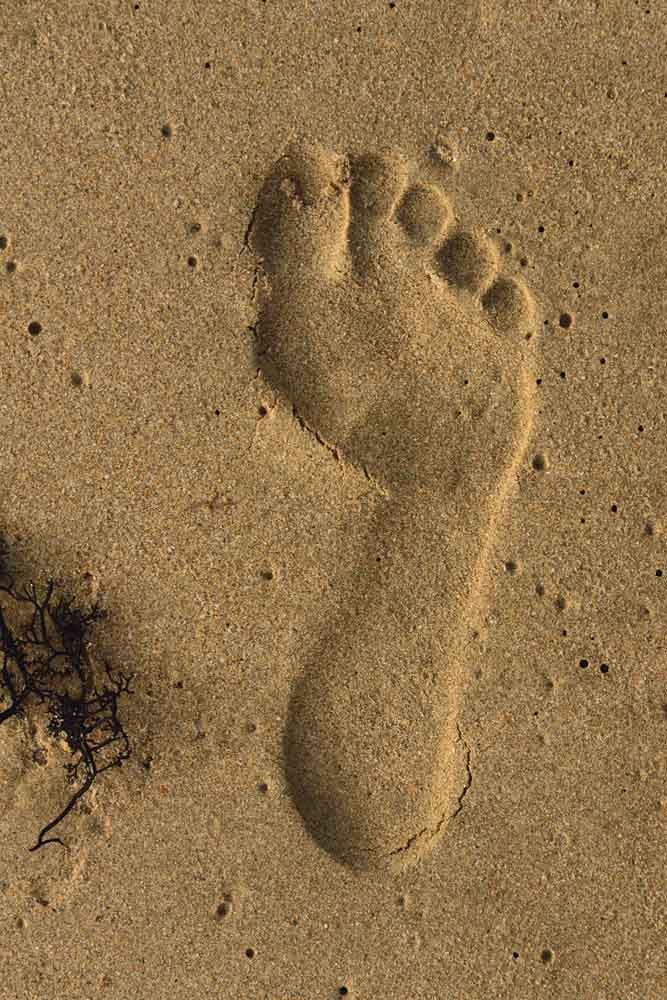 Image 069 5399 Footprint