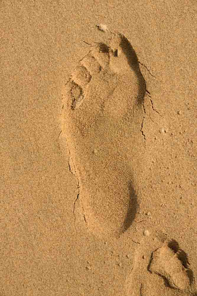 Image 069 5501 Footprint