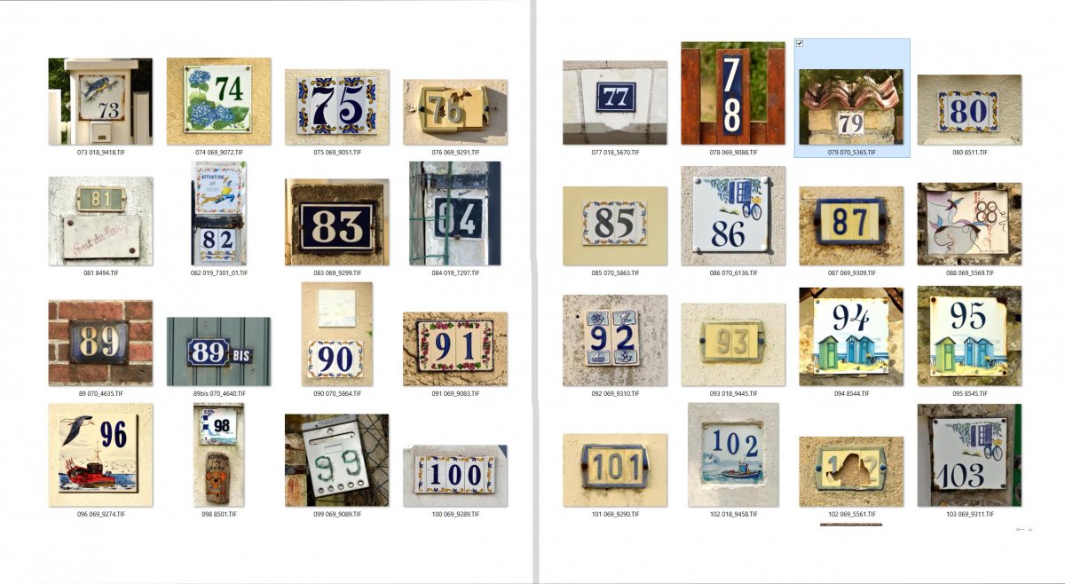 Book of Numbers sample Book of Numbers sample